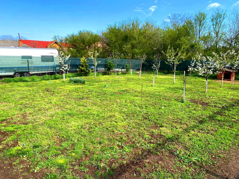 Snagov, central, teren 400 mp,